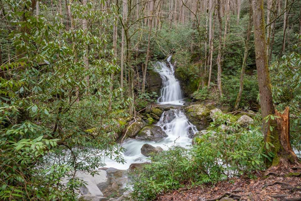 Mouse Creek Falls