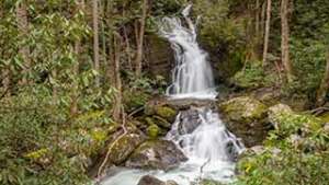 Mouse Creek Falls