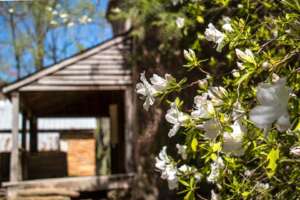 Oconee Station