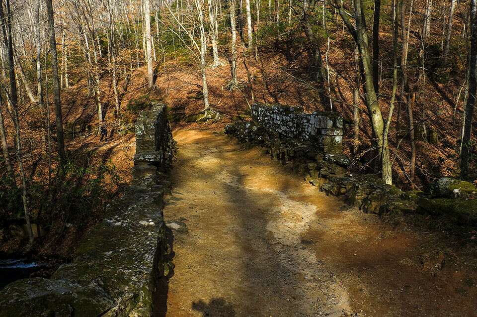 Poinsett Bridge