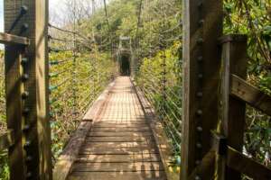 Raven Cliff Falls Suspension Bridge