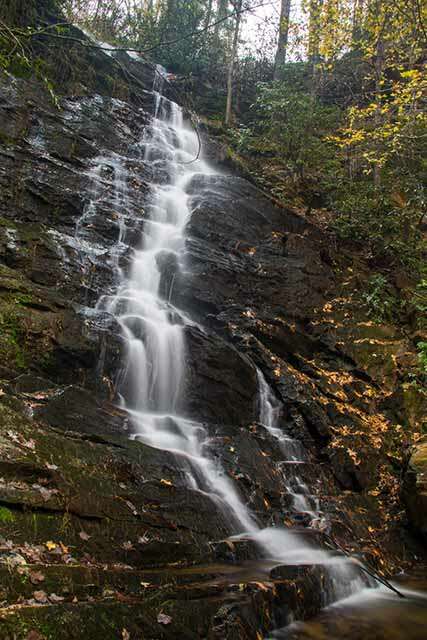 Reedy Branch Falls
