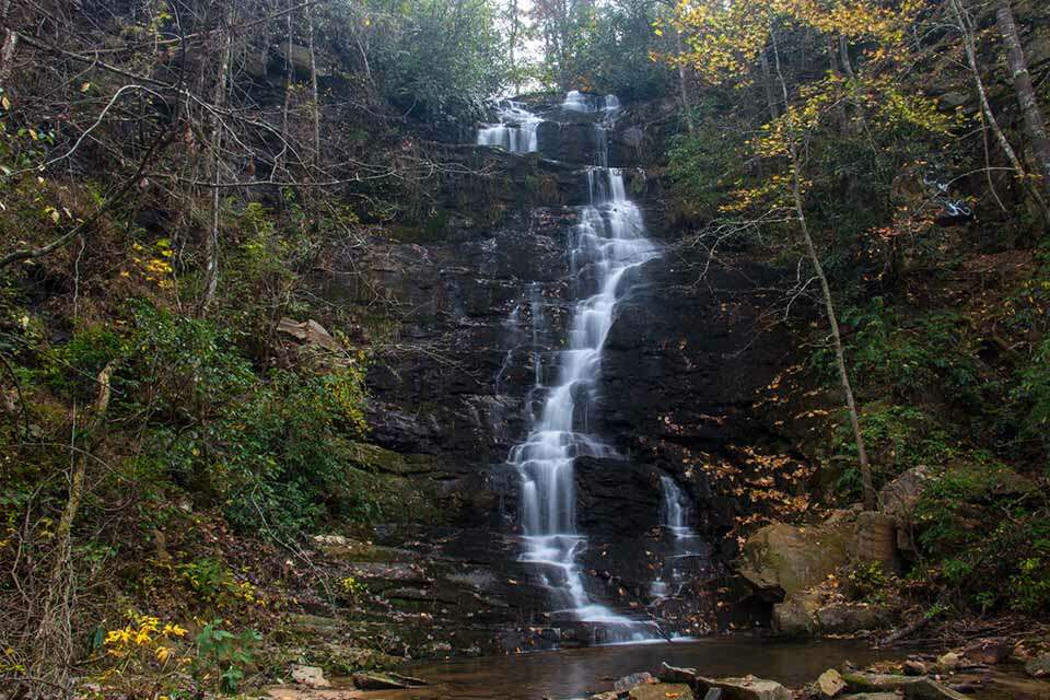 Reedy Branch Falls