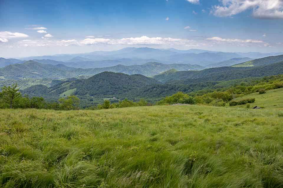 Roan Mountain Grassy Balds