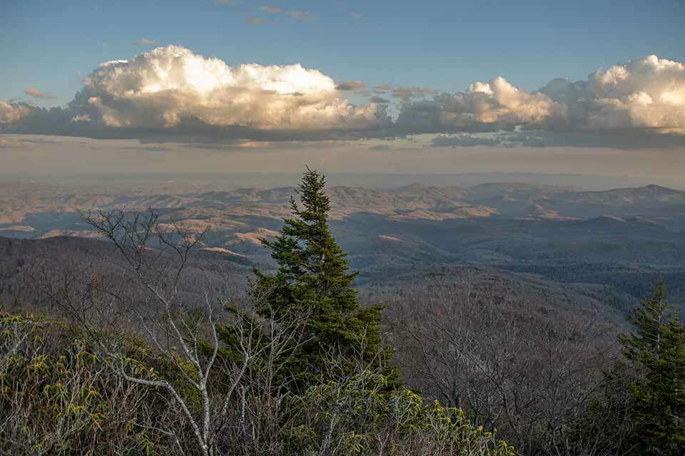 Rough Ridge View