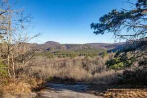 Salt Rock Gap View