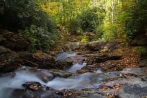 Sam Branch Falls Cascade