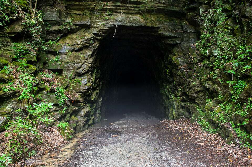 Stumphouse Tunnel Park