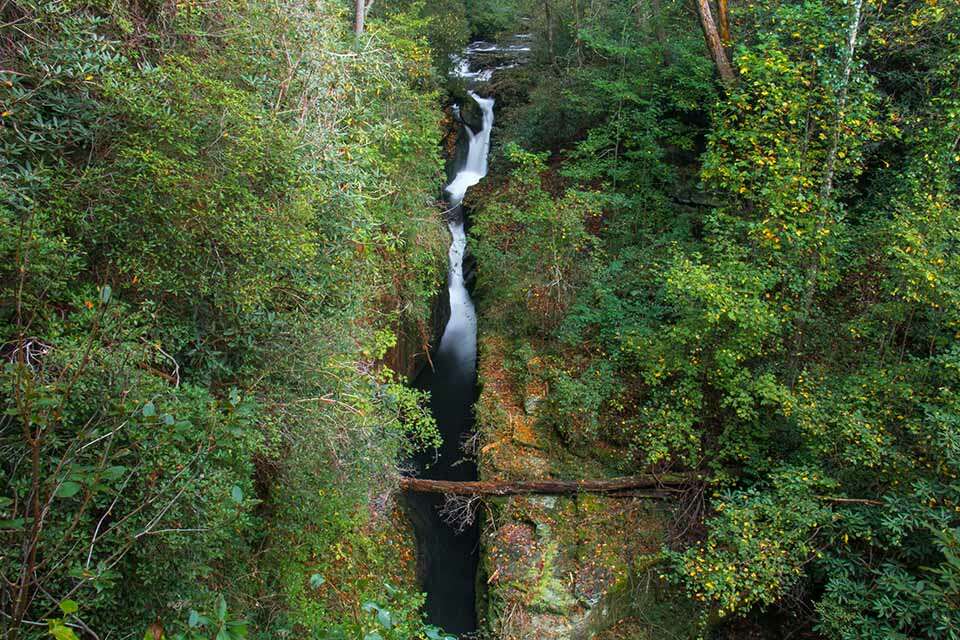 The Narrows