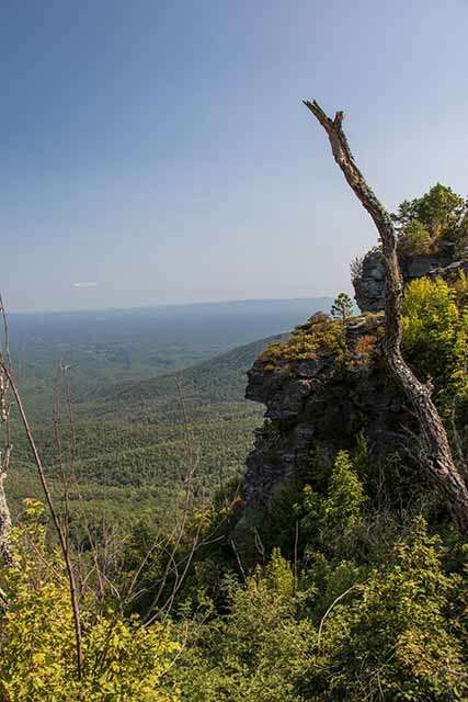 The Chimneys View