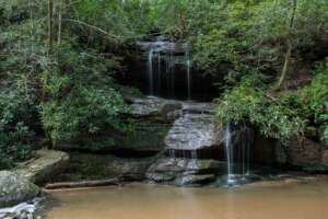Unnamed Waterfall Big Bradley Falls
