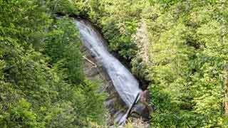 Upper Bearwallow Falls