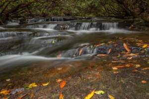 Upstream-Graveley-Falls