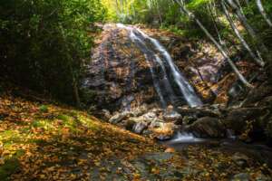 Wash Hollow Falls