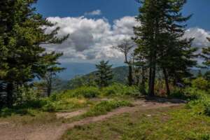 Waterrock Knob Summit