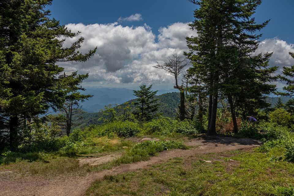 Waterrock Knob Summit