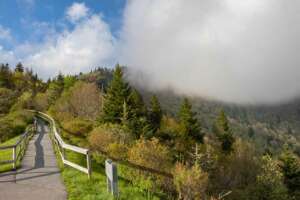 Waterrock Knob Trail