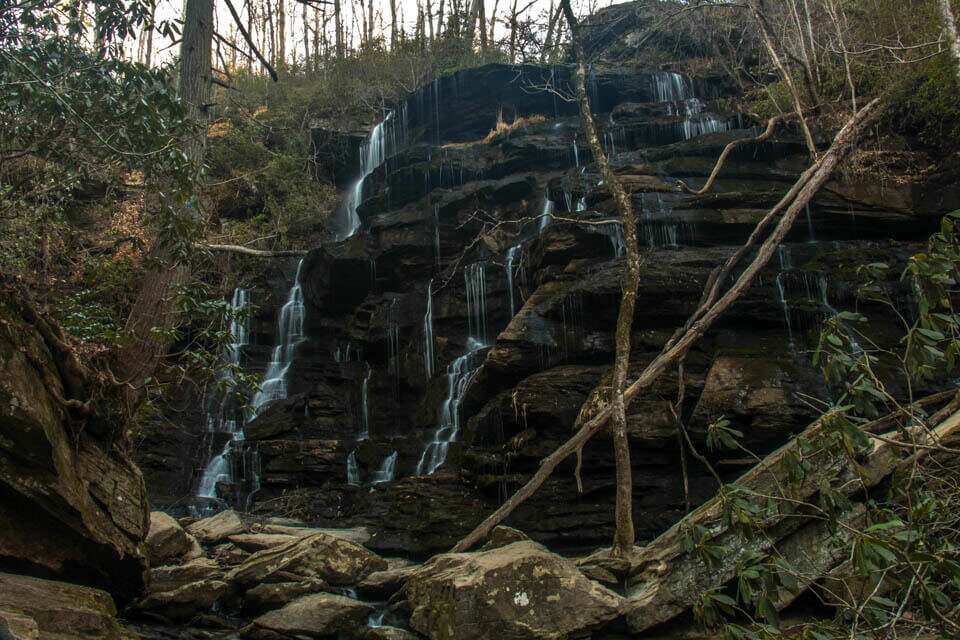 Yellow Branch Falls