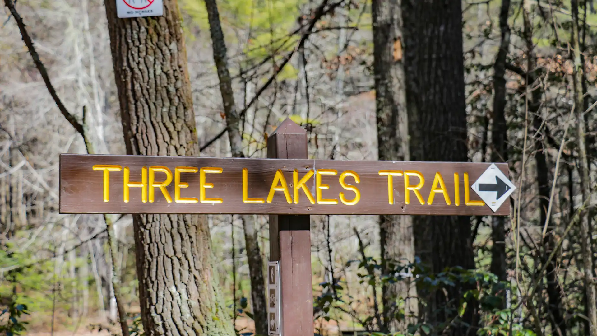 Three Lakes Trail