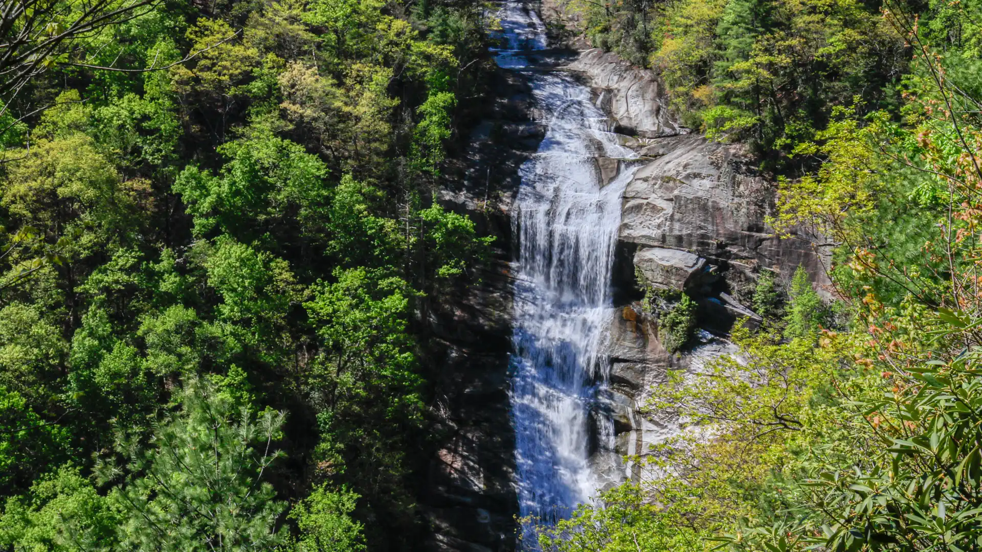 Lower Whitewater Falls