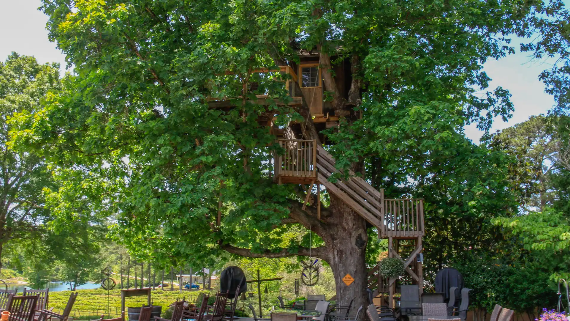 Treehouse Vineyards