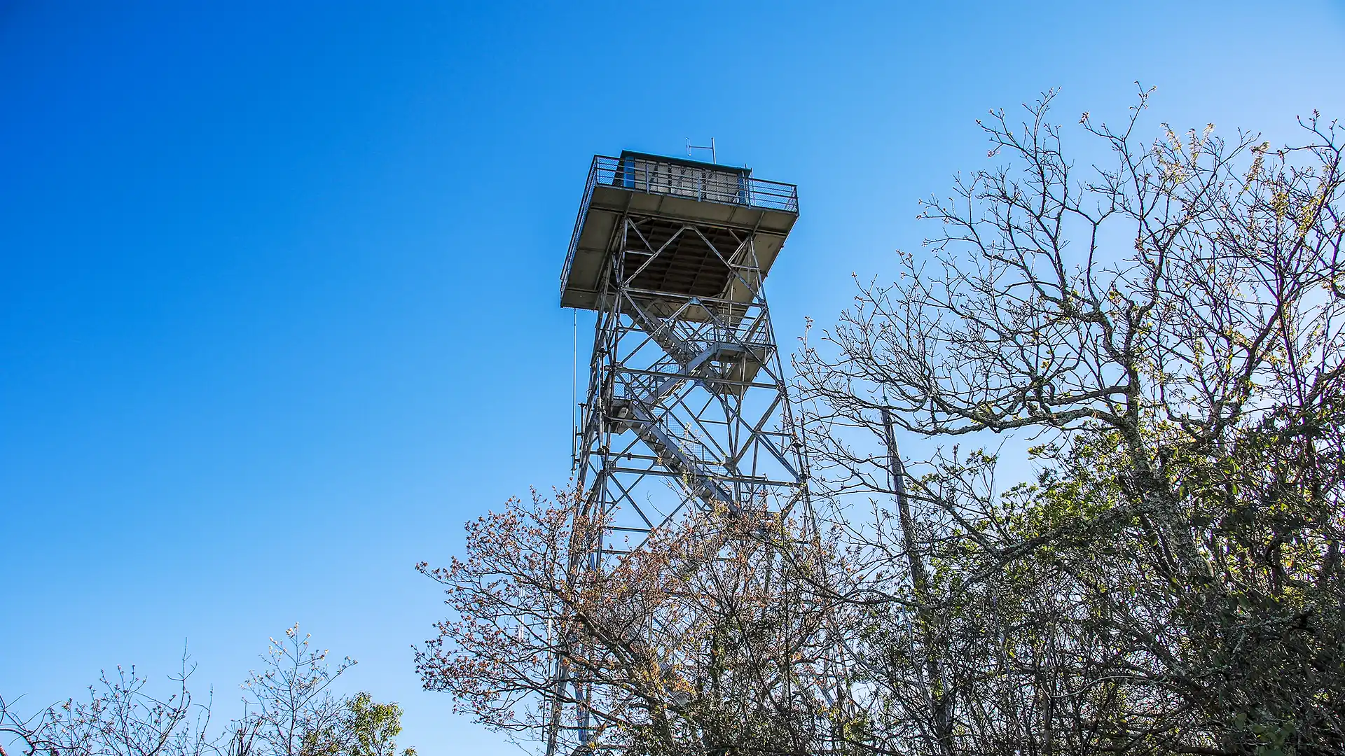 Fryingpan Lookout Tower