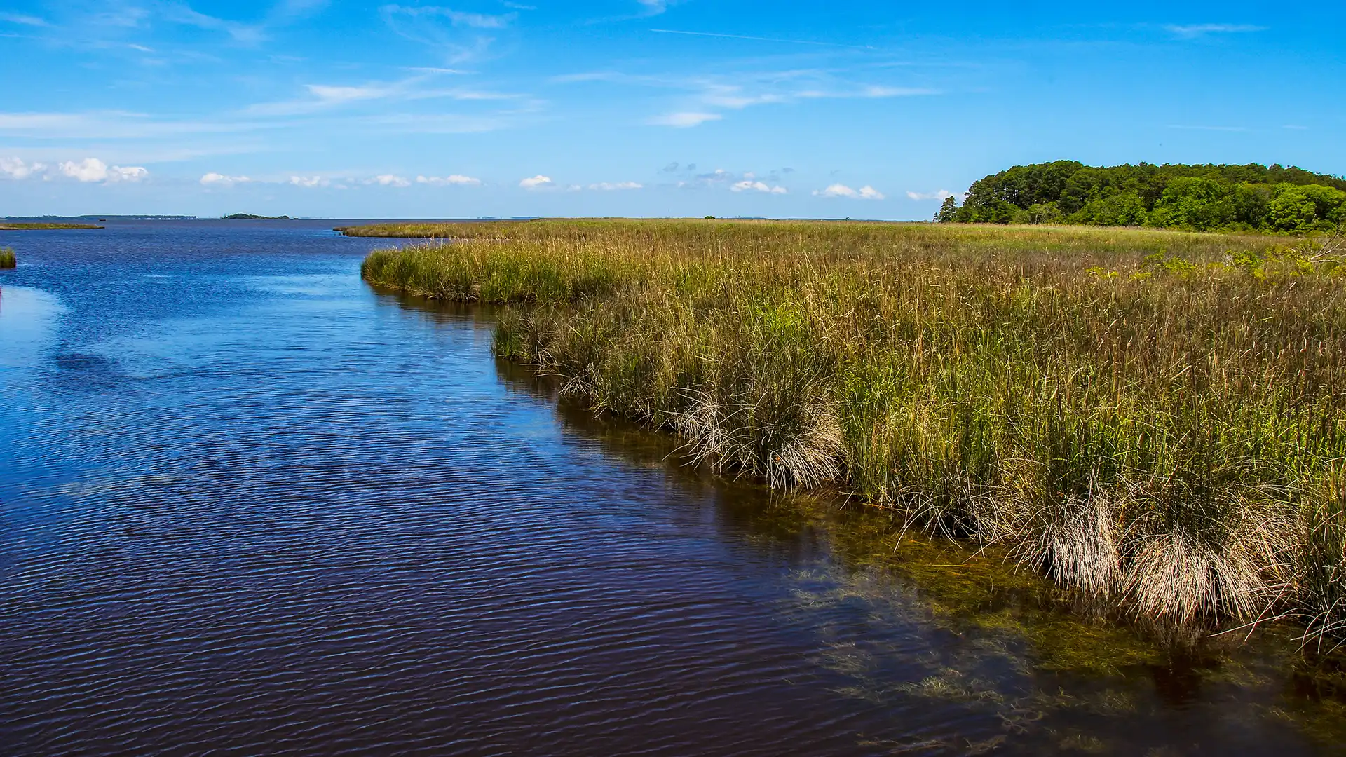 Currituck Banks Reserve