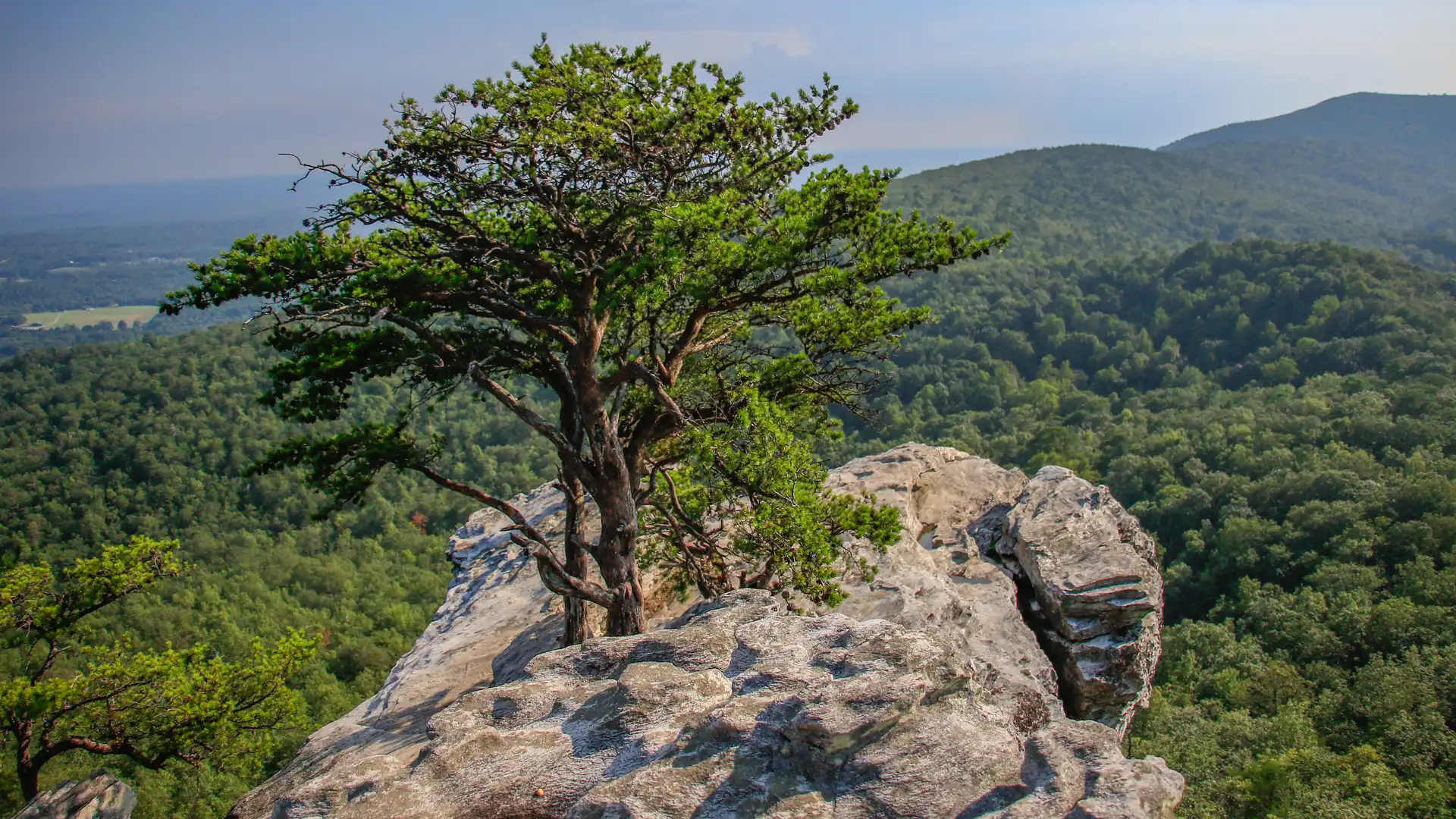 Hanging Rock State Park Overview