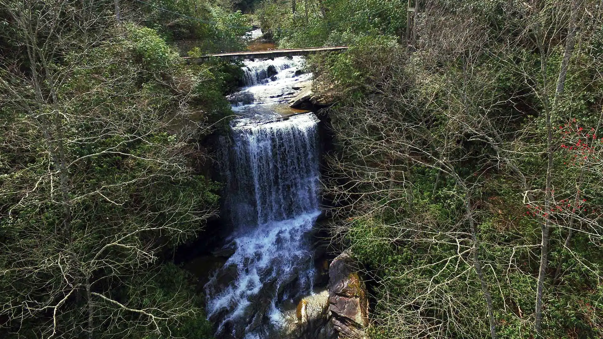 Raven Cliff Falls Loop Trail