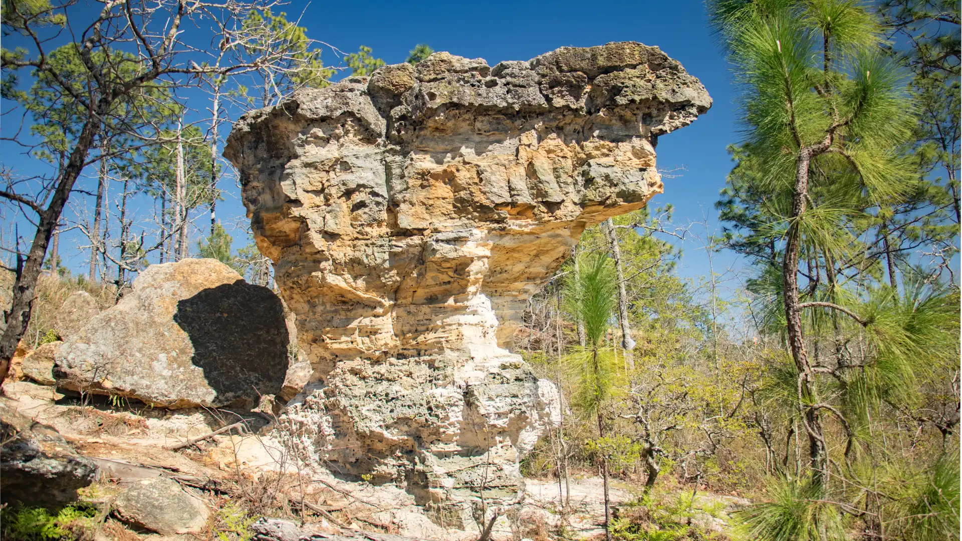 Peachtree Rock Heritage Preserve