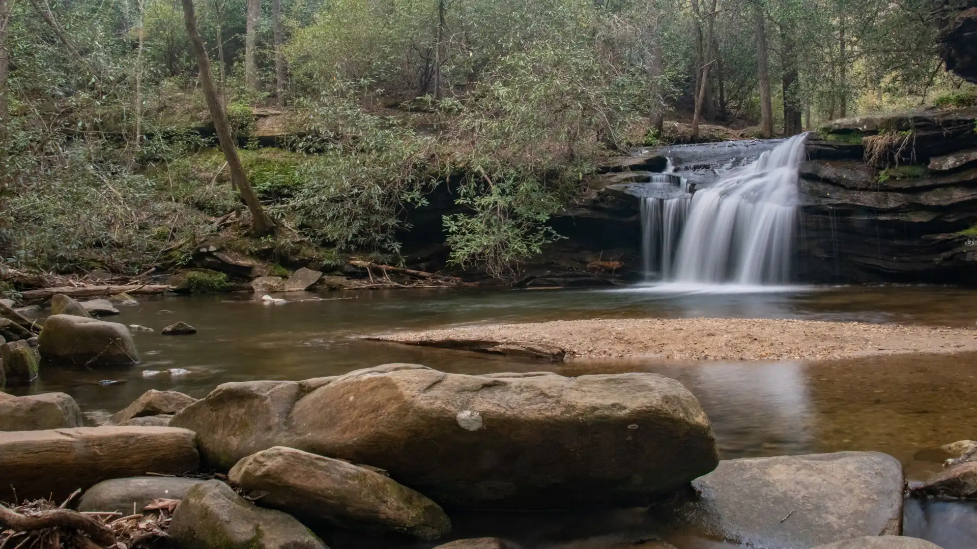 Carrick Creek Loop Trail