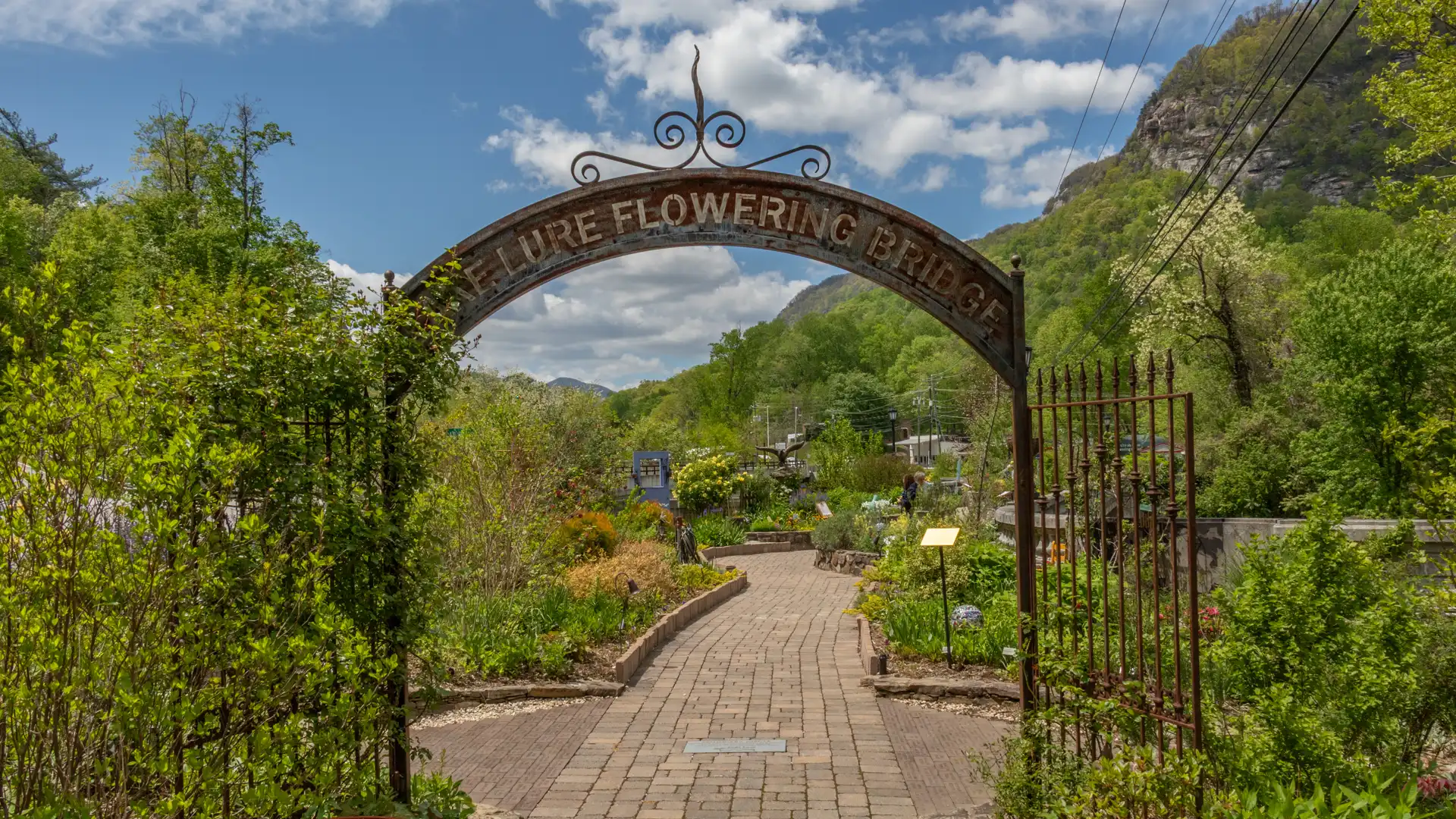 Lake Lure Flowering Bridge