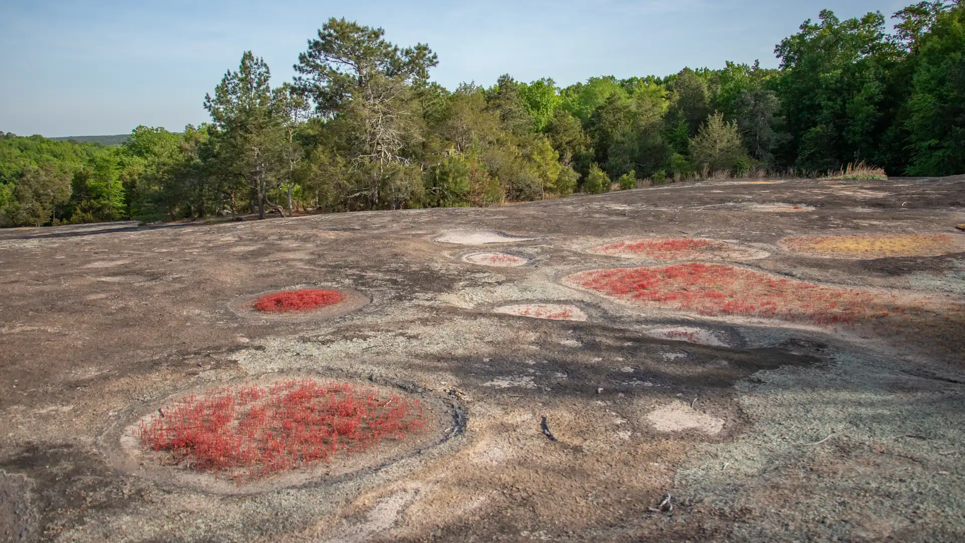 Forty Acre Rock Heritage Preserve