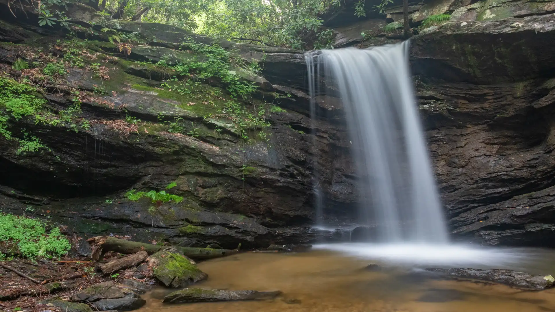 Last Falls and Sweet Thing on Slickum